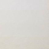 CHARBONNEL ETCHING INK 60ML S2 COVER WHITE RS