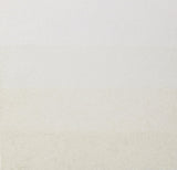 CHARBONNEL ETCHING INK 60ML S2 SNOW WHIT TI