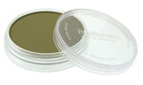 PANPASTEL 220.1 HANSA YELLOW EXTRA DARK
