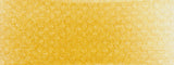 PANPASTEL 250.3 DIARYLIDE YELLOW SHADE