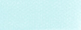 PANPASTEL 580.8 TURQUOISE TINT