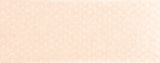 PANPASTEL 740.8 BURNT SIENNA TINT