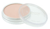 PANPASTEL 740.8 BURNT SIENNA TINT
