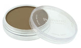 PANPASTEL 780.5 RAW UMBER