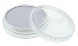 PANPASTEL 840.7 PAYNES GREY TINT 1