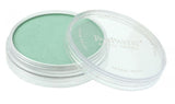 PANPASTEL 956.5 PEARLESCENT GREEN
